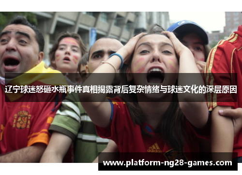 辽宁球迷怒砸水瓶事件真相揭露背后复杂情绪与球迷文化的深层原因